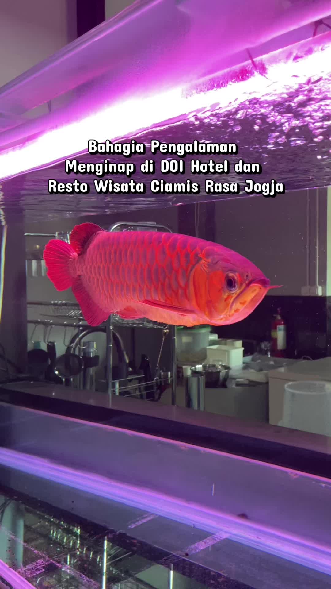 @PERGI AJA ▪︎COM