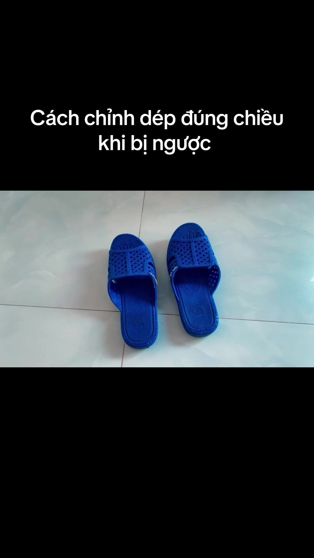 @M&egrave;o th&ocirc;ng th&aacute;i