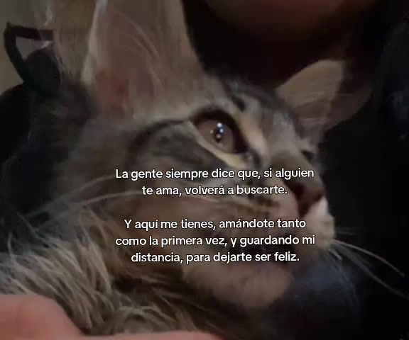 @crissparker