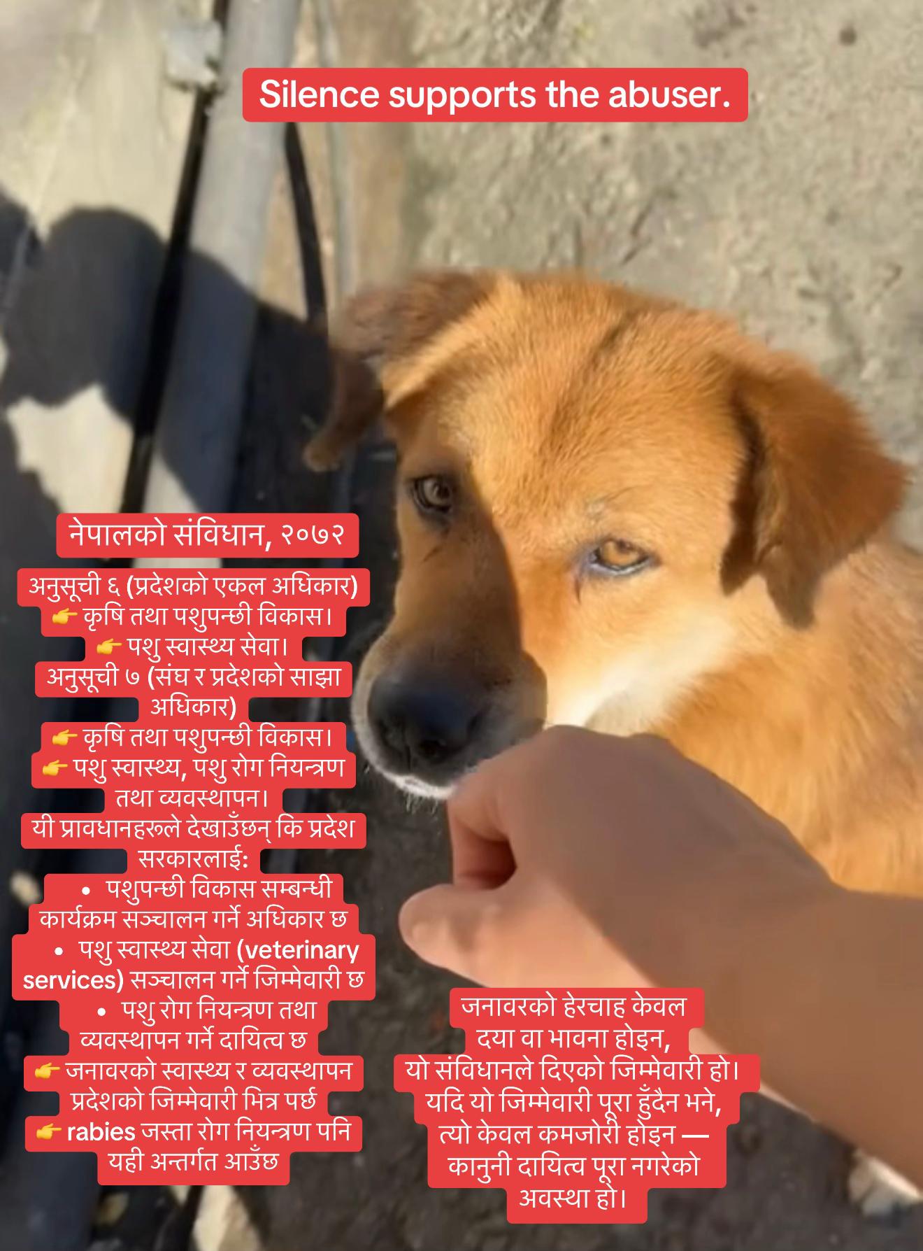 @Mayakara