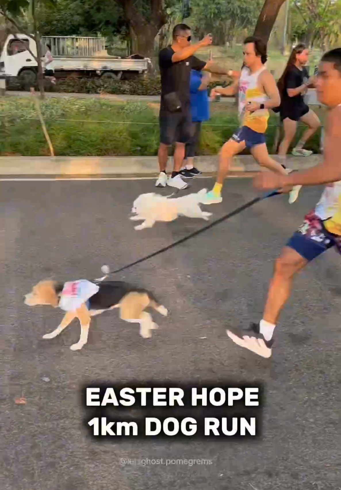 @G H O S T TheRunnerPom
