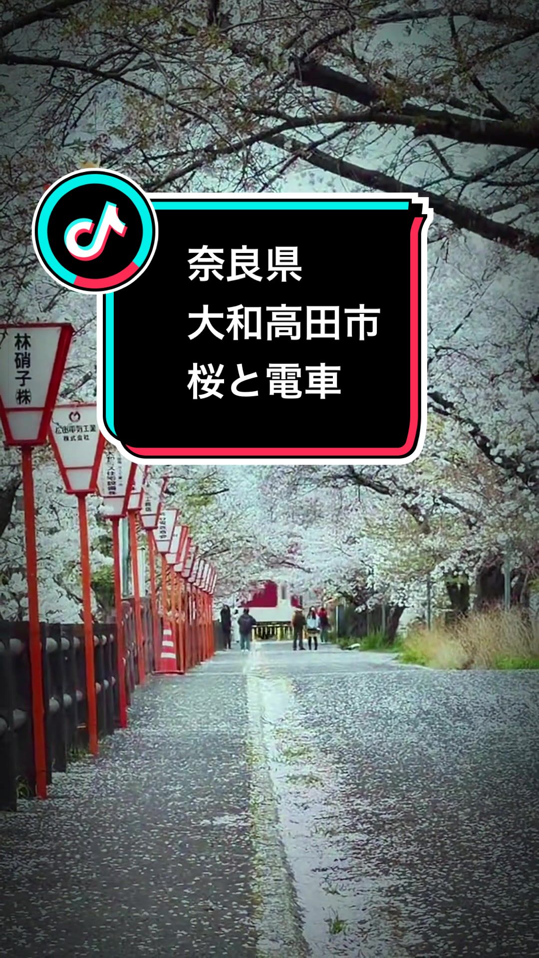 @fumi📸3776🖼️