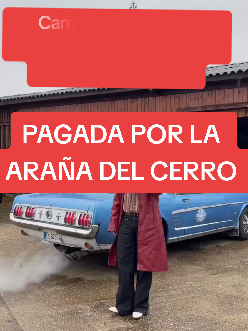 @Ritmoviral