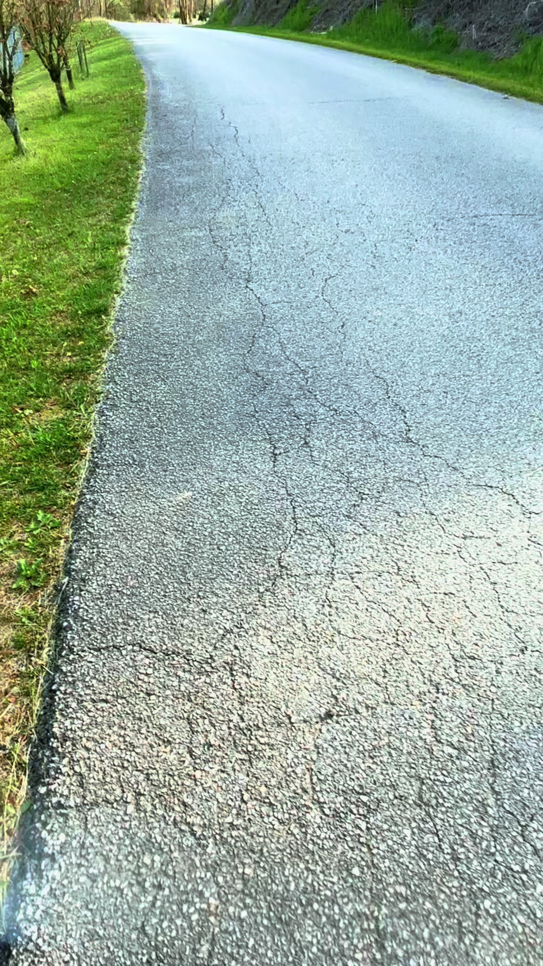 @Roseflower