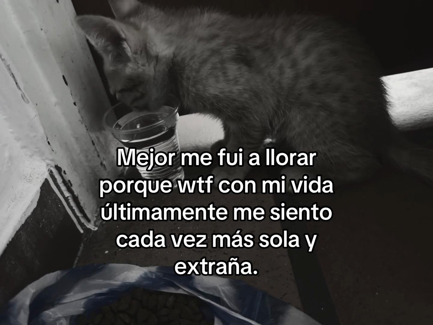 @anonima