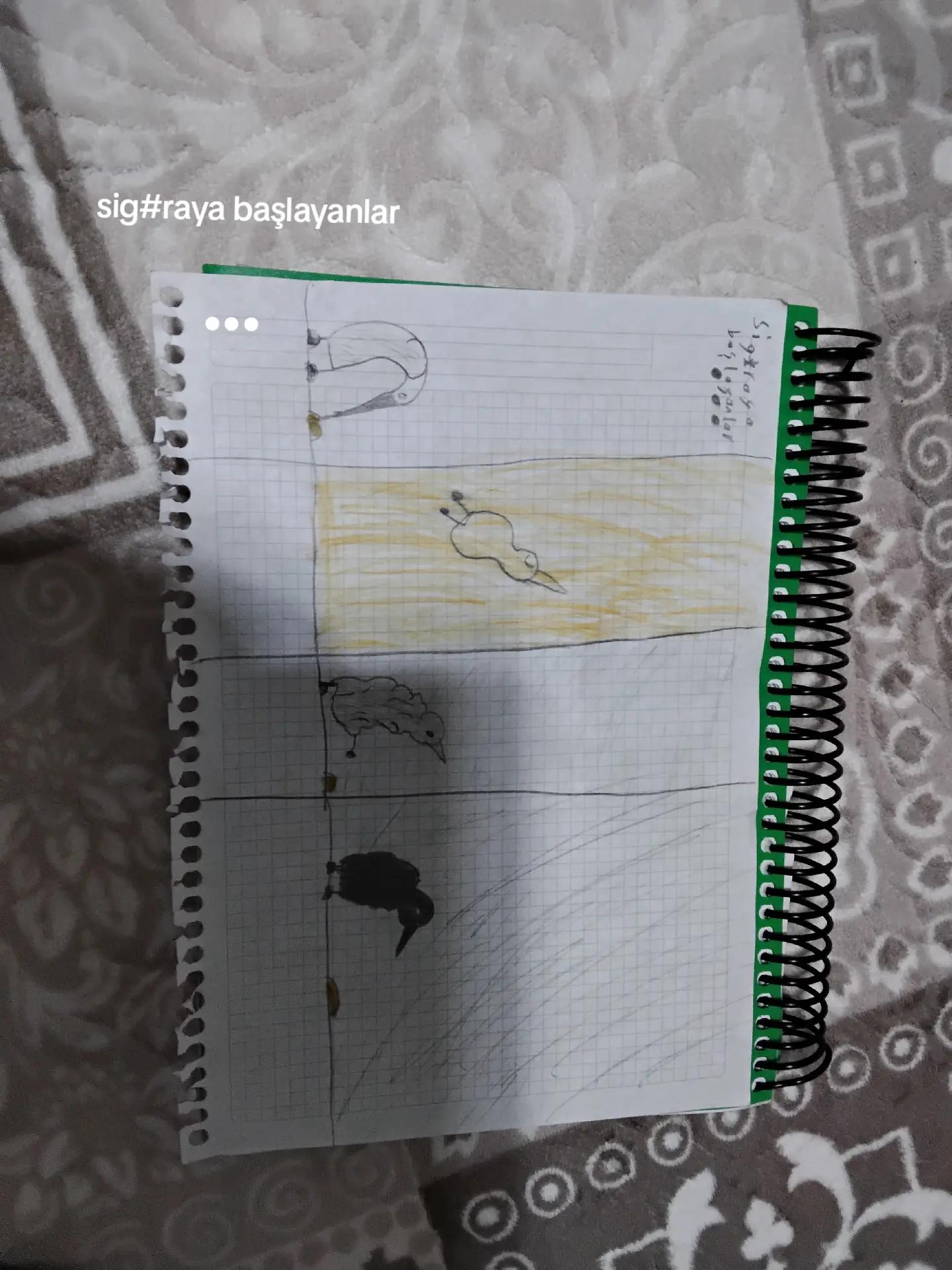 @AYAZ KURDA&bull;_&bull;