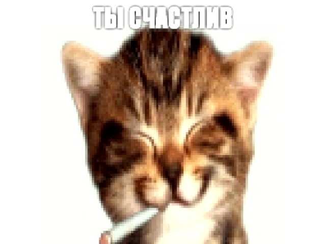 @clovik🩻