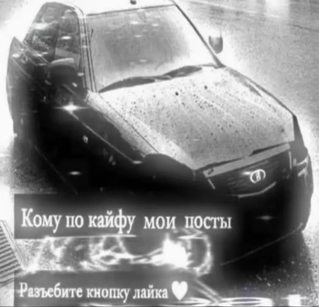 @тuma xumuкат