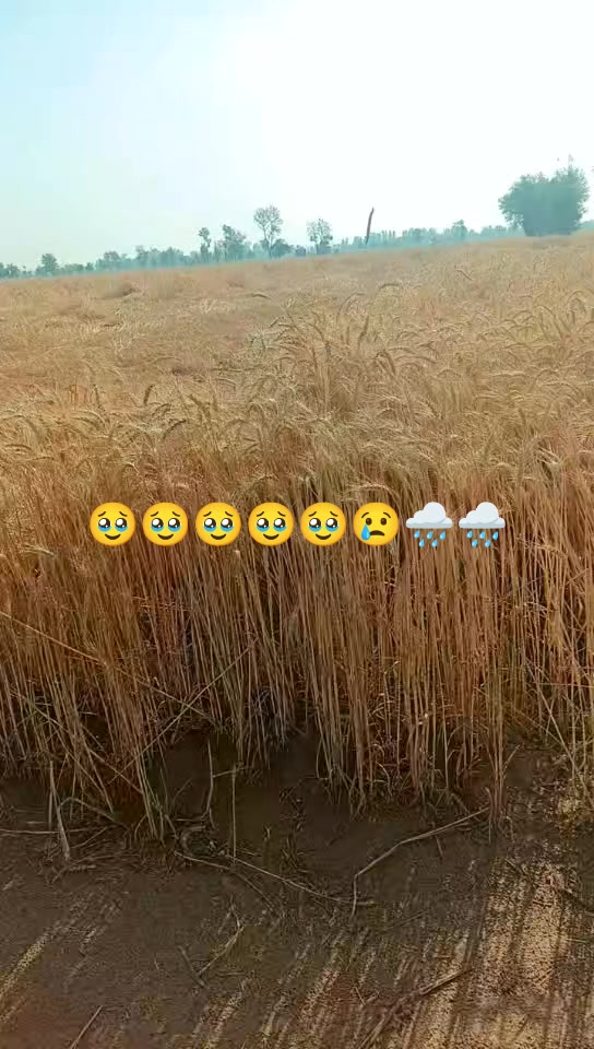 @adilbadshat209