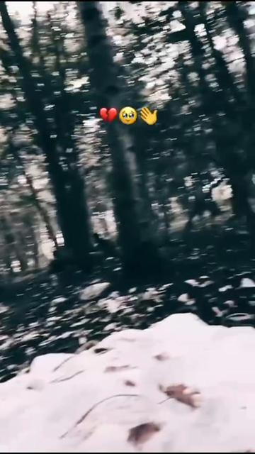 @afghan_lion78