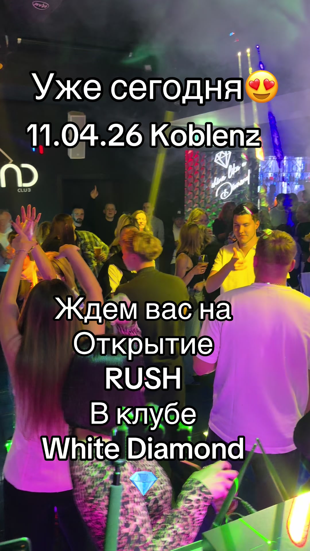 @Elena Sakuta