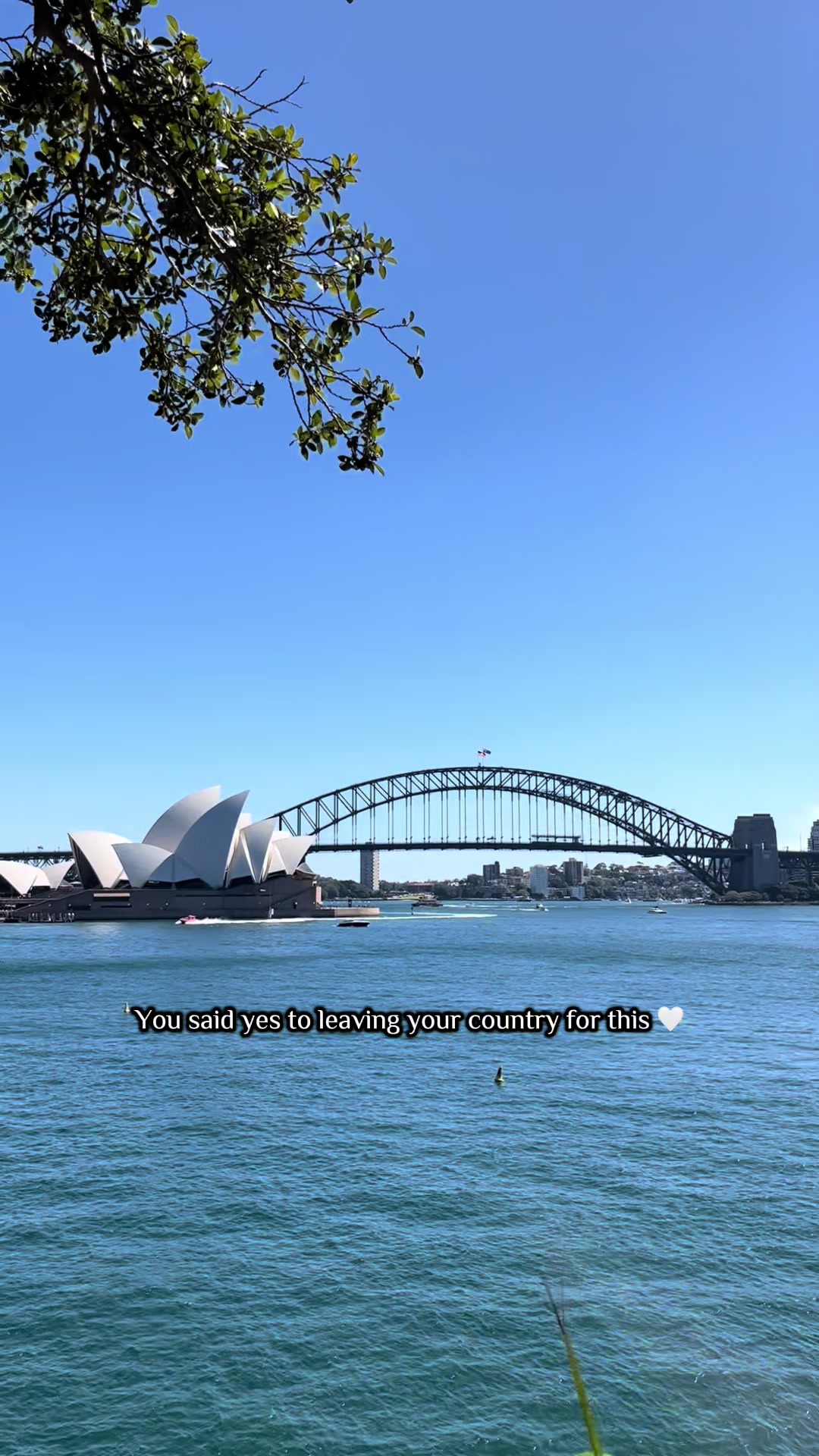 @Sha|🇮🇩 doctor living in 🇦🇺