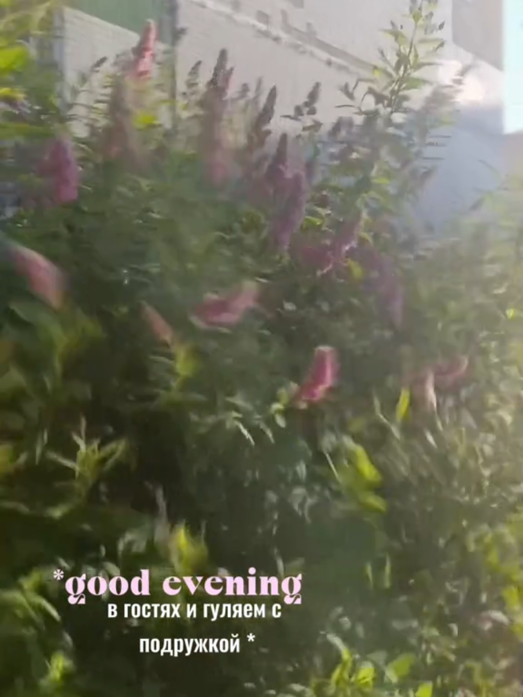 @сонька