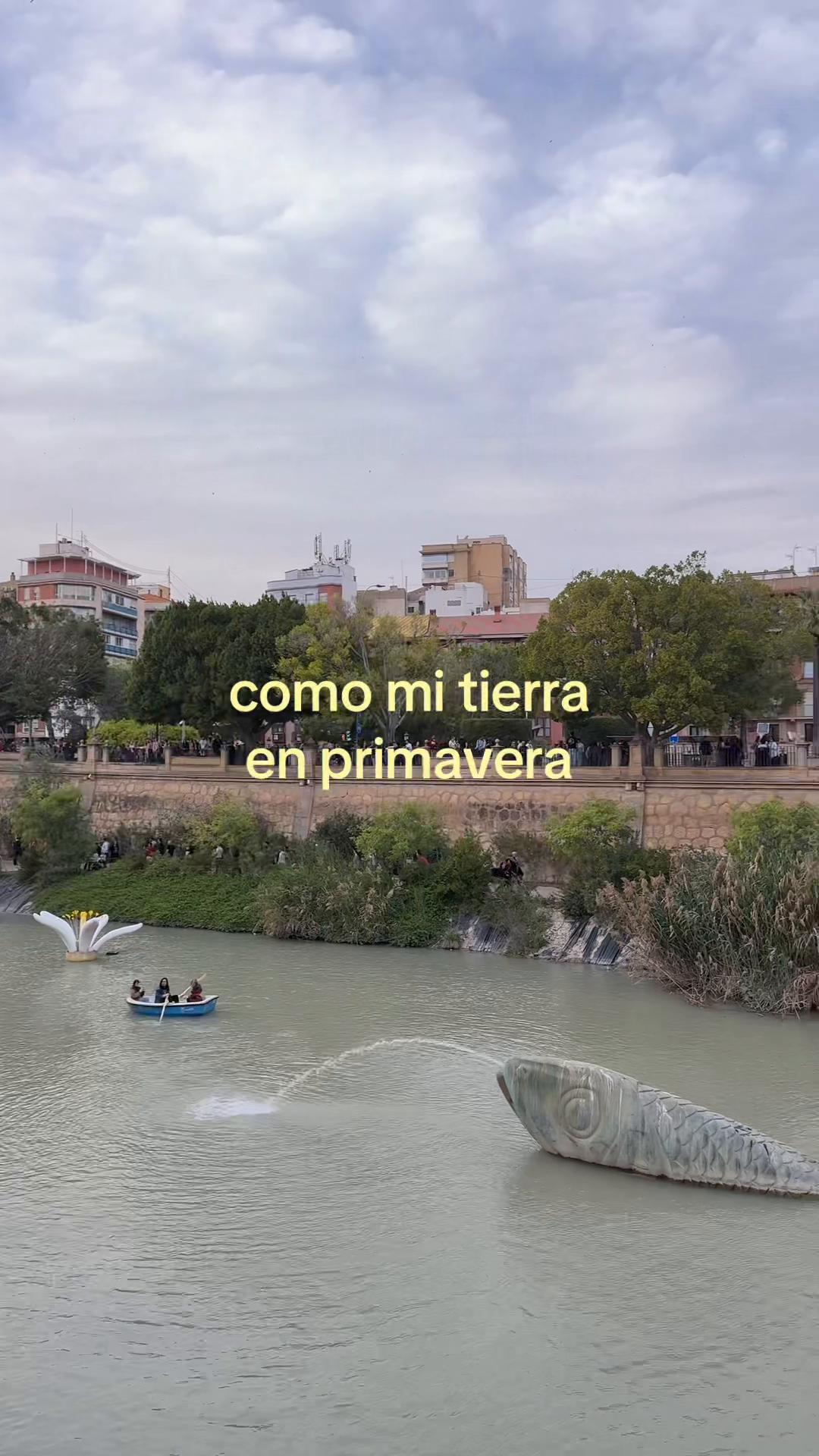 @andrea 🪩