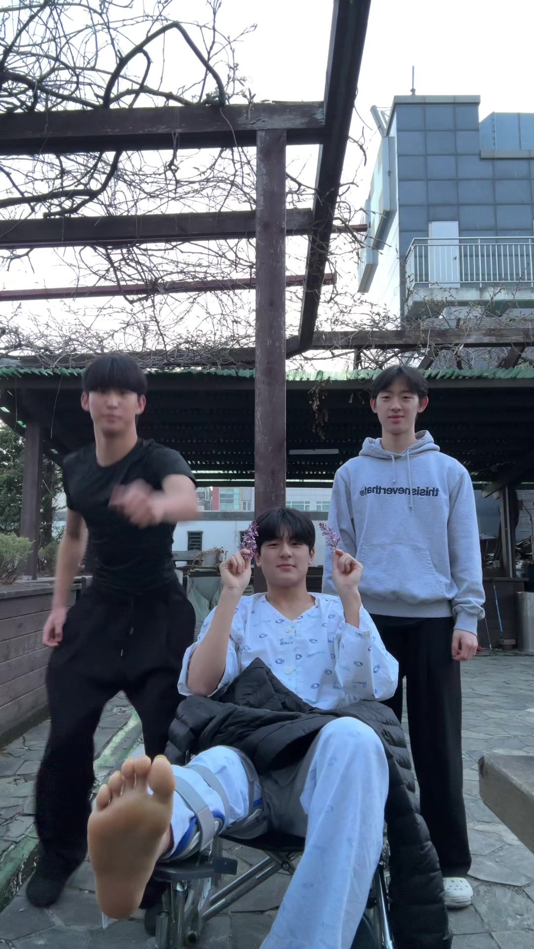 @호시우미 코라이