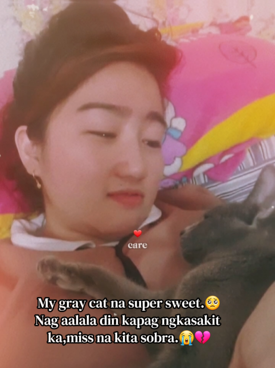 @🐾Feeding Stray Cats Daily🐈&zwj;⬛