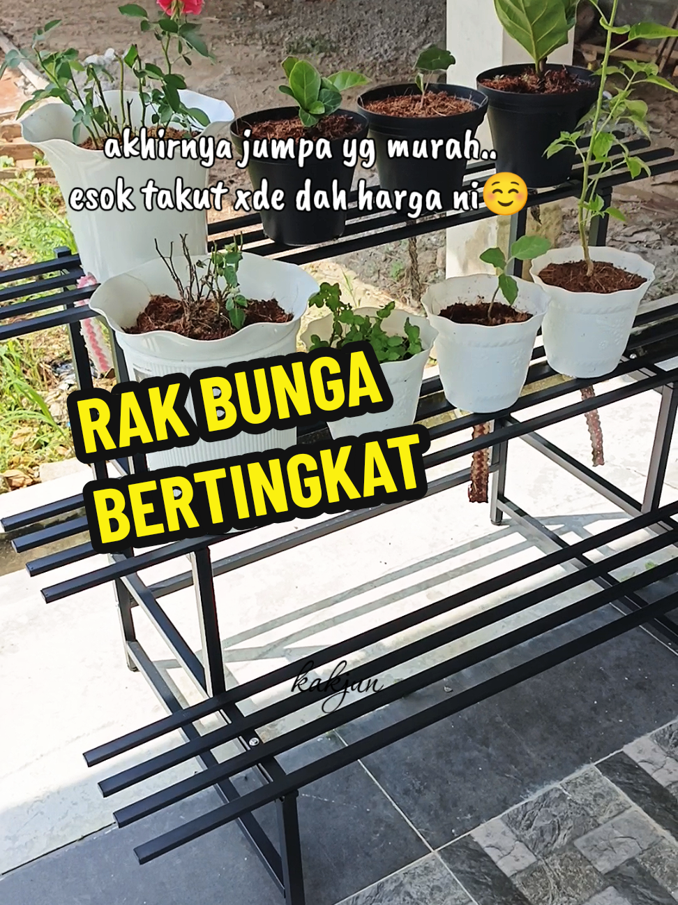 @Kak june