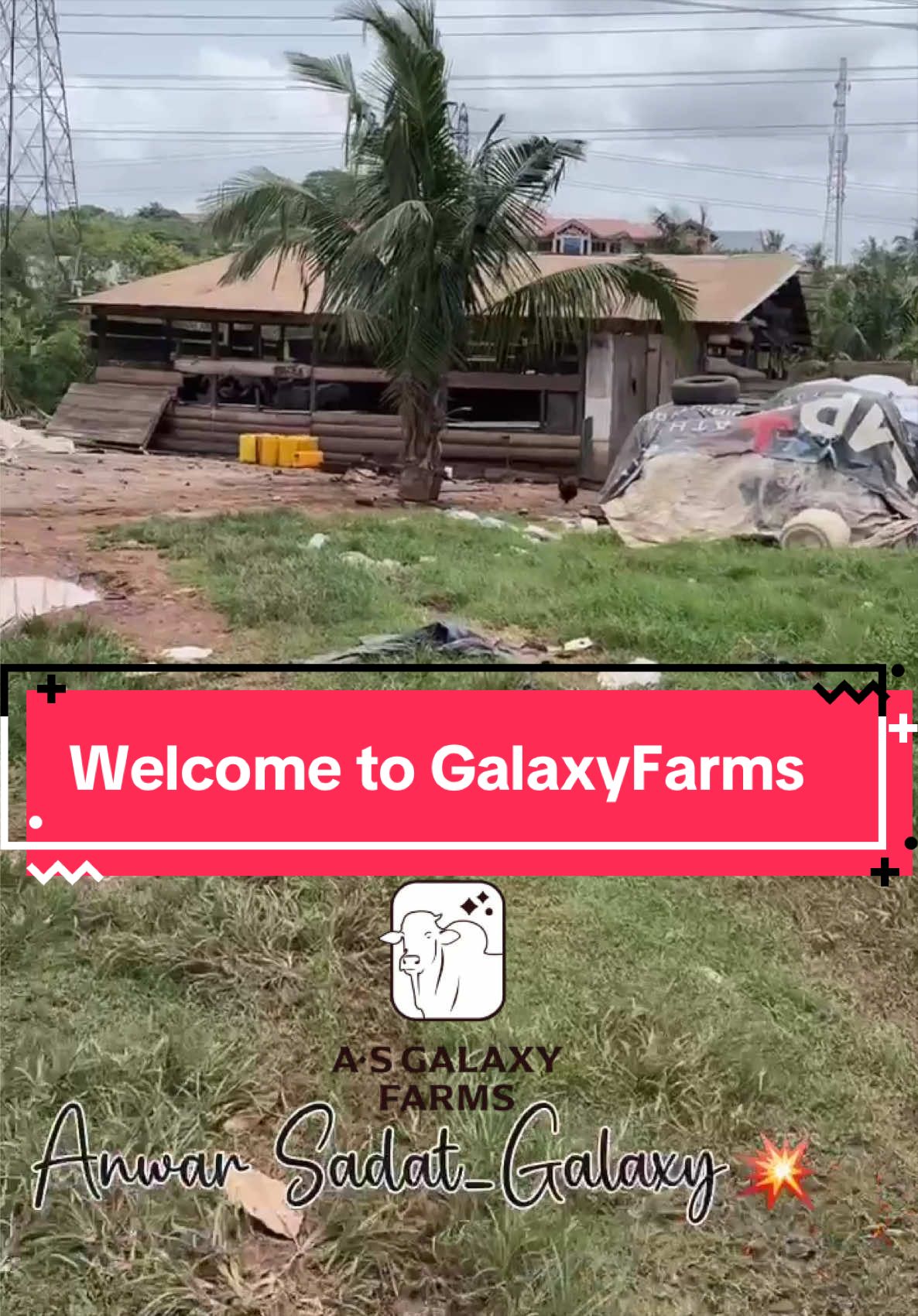 @Anwar Sadat-Galaxy 🐂🐃