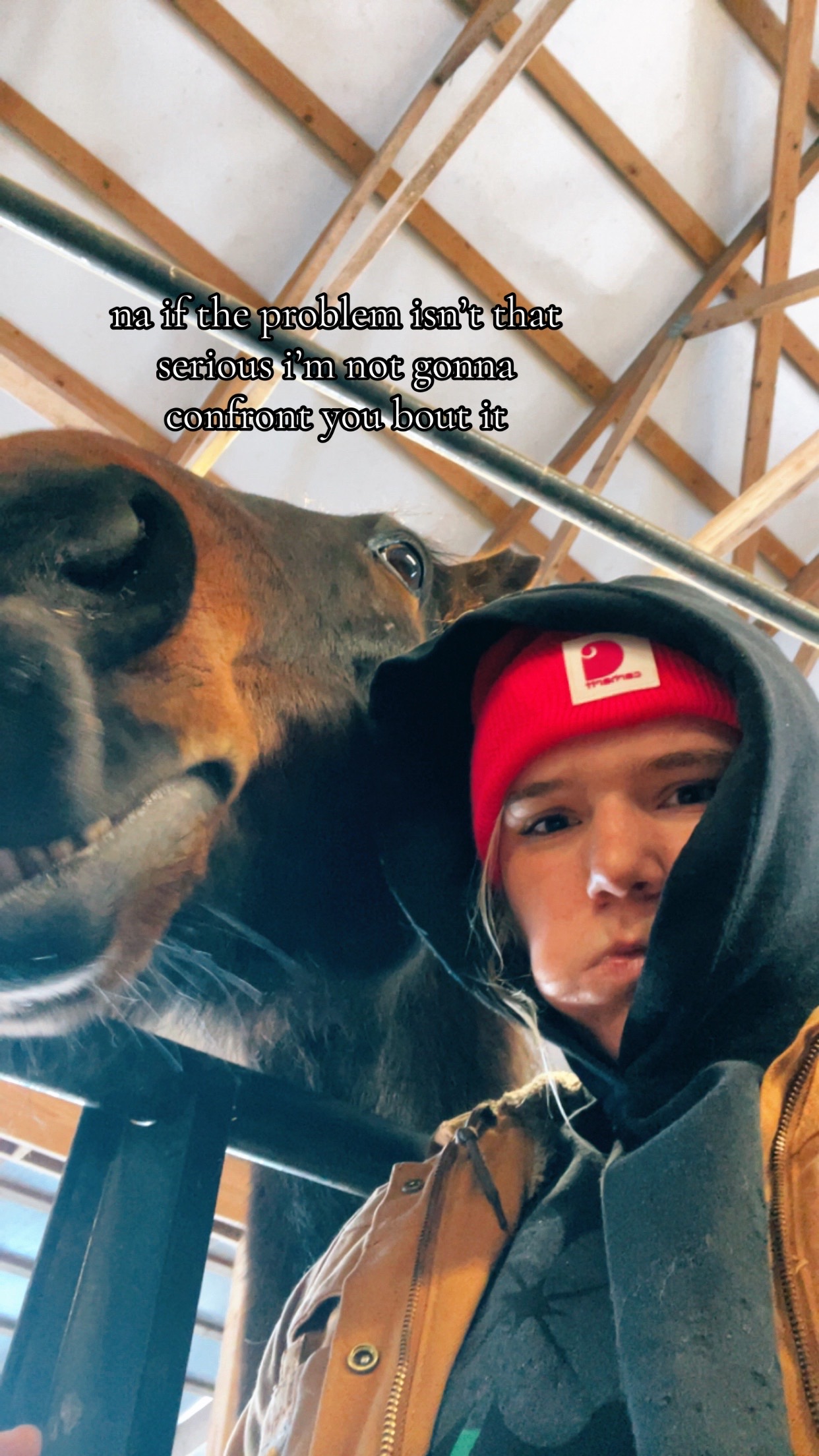 @braelee