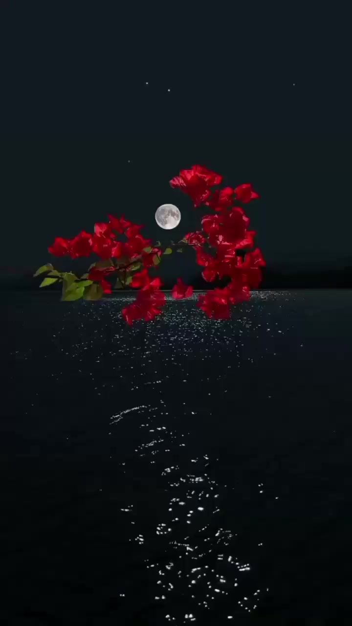 @Arooj Bukhari❣️