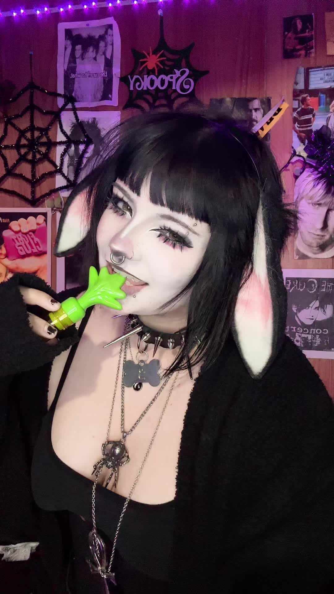 @𝐁𝐞𝐥𝐥𝐬 ;𝟑 🐾