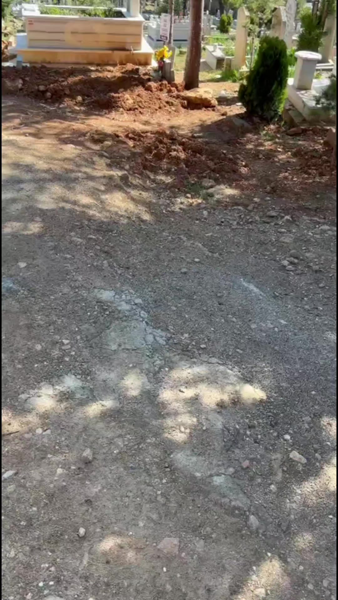@Ayseoyaları42