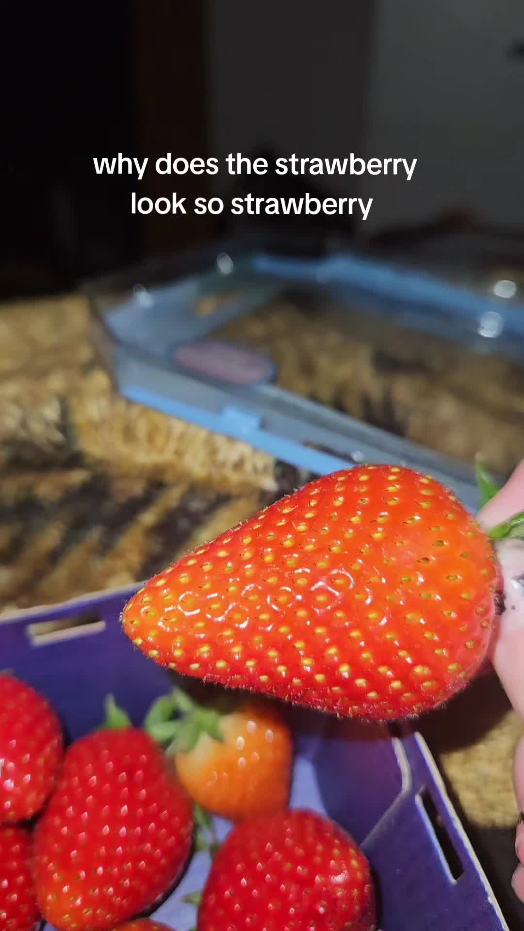 @Strawberry/Toxin