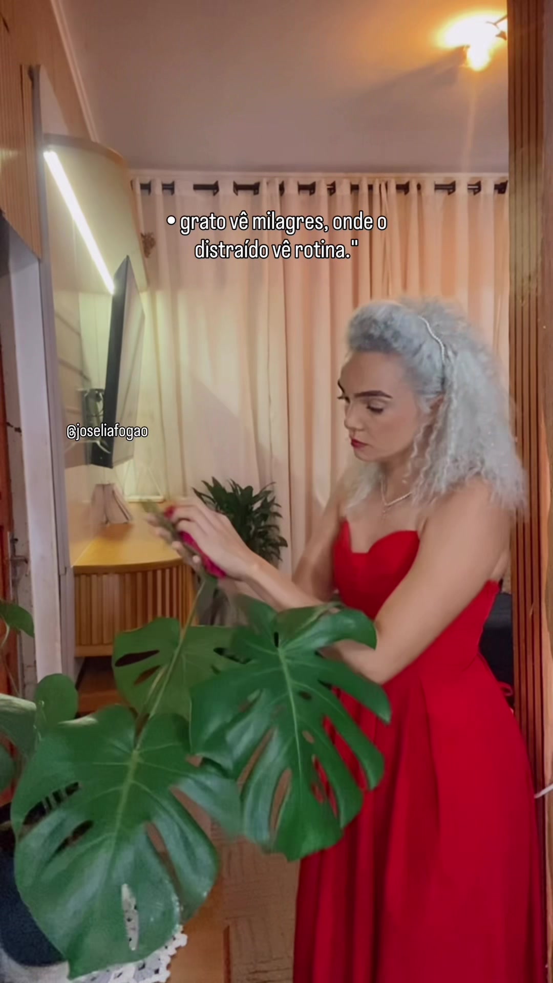 @joseliafogao