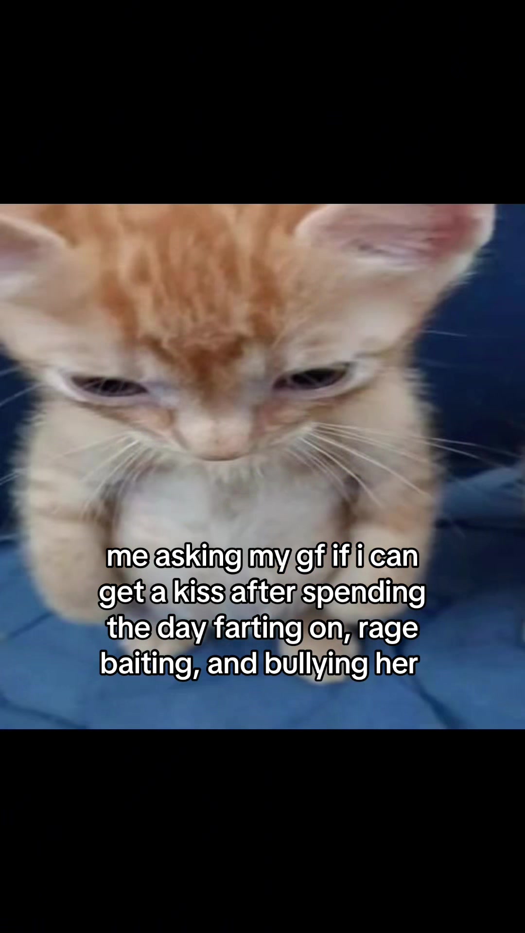 @meowconcept