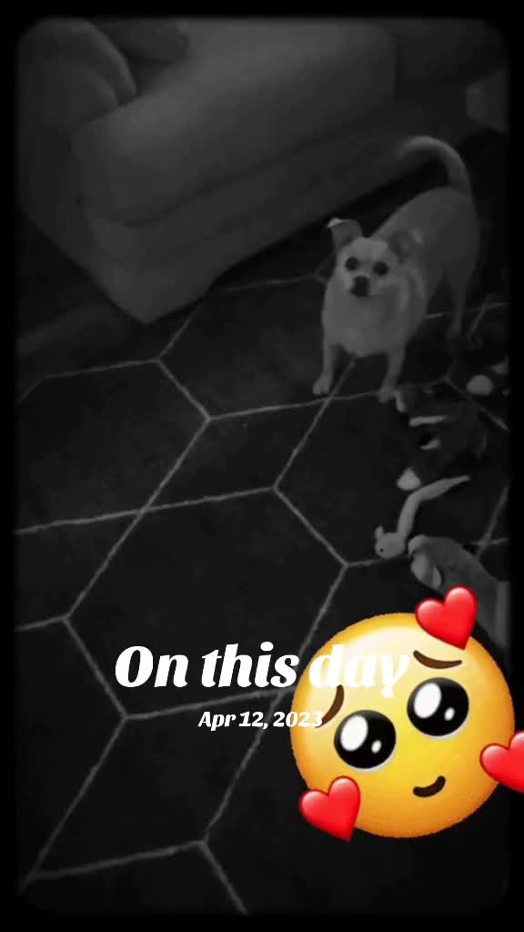 @🌻🖤𝑺𝒐𝒍𝒆𝒊𝒍🖤🌻