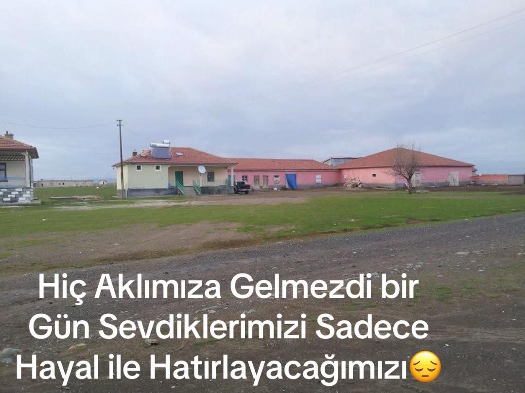 @🇩🇪&Ouml;z &Ouml;meranlı🇩🇪