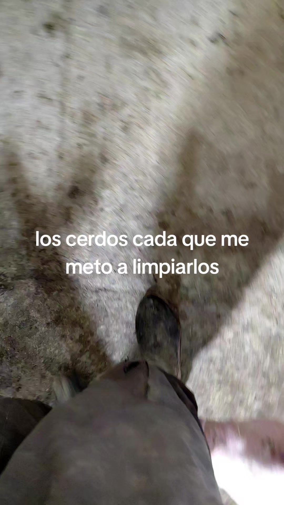@checo