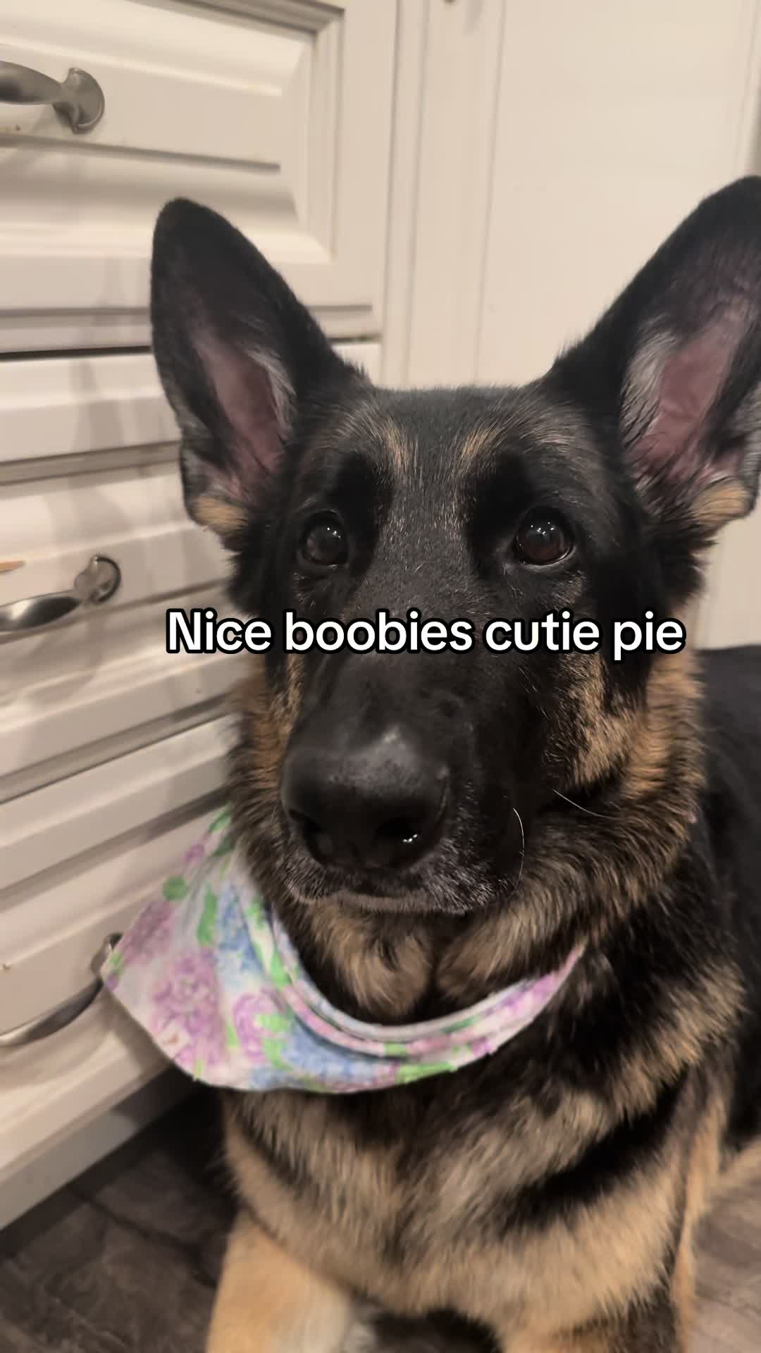 @Bhris