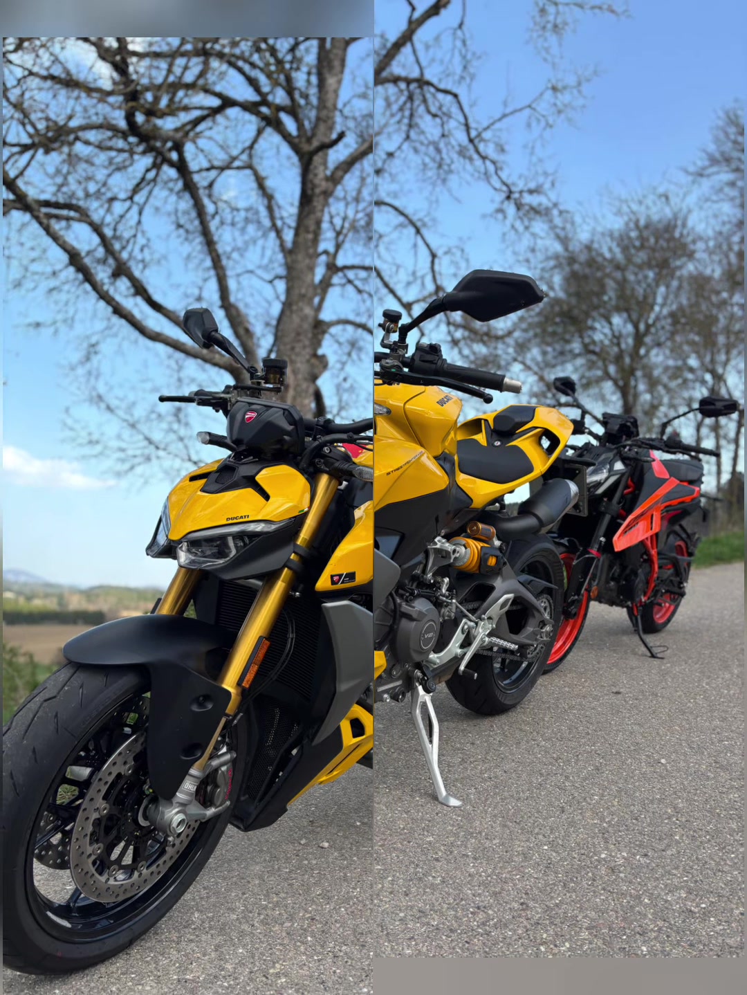 @Moto-Passion-Fox🦊