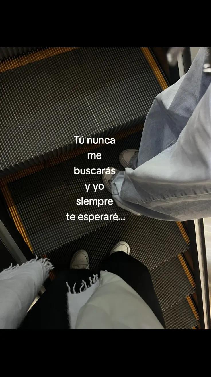 @Sayary