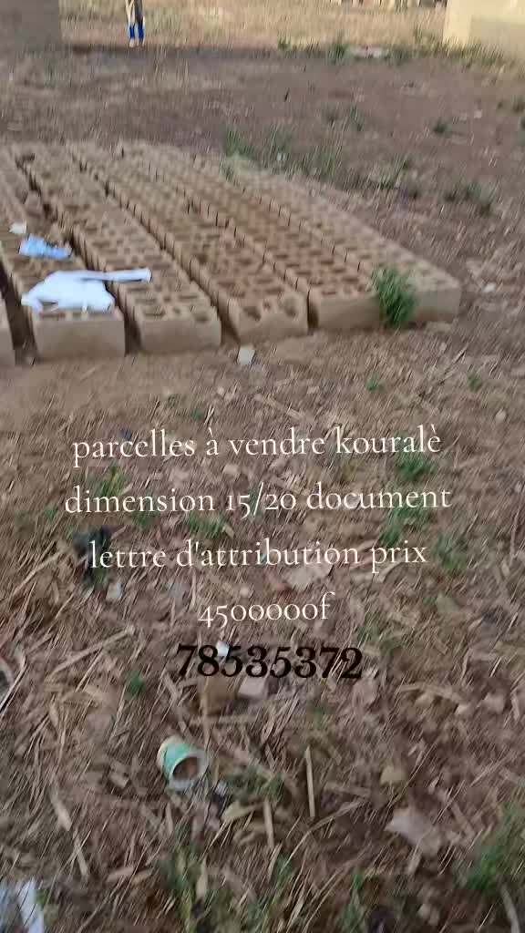 @kaniagaservice
