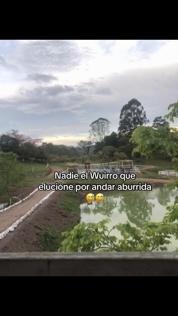 @Ana Avalos