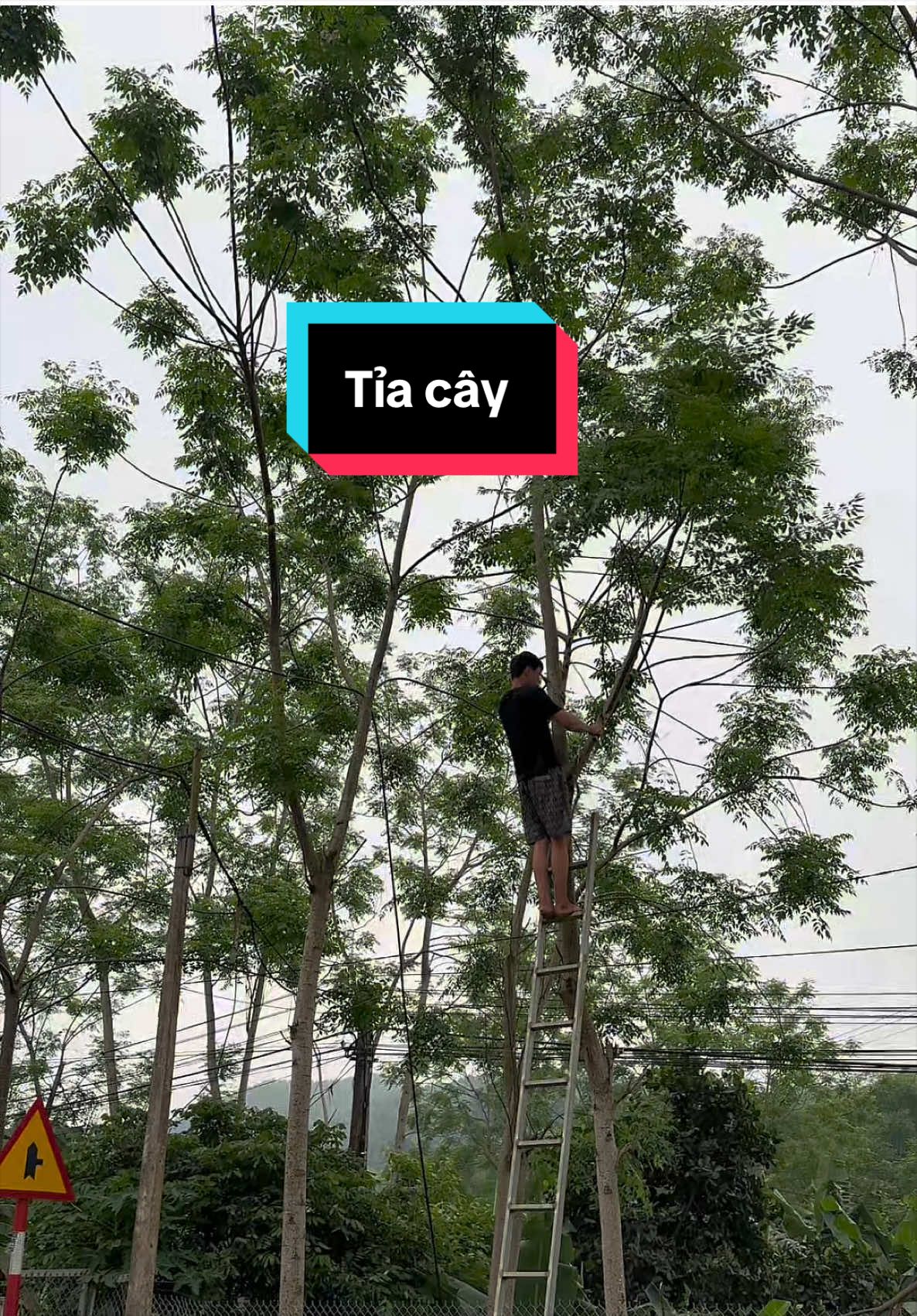 @B&eacute; Thoại