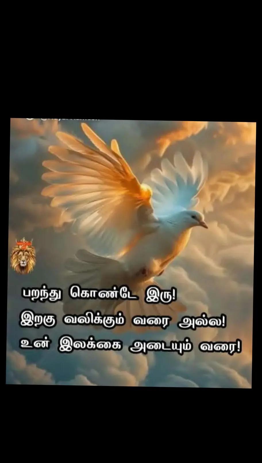 @Kutty. _____ ma