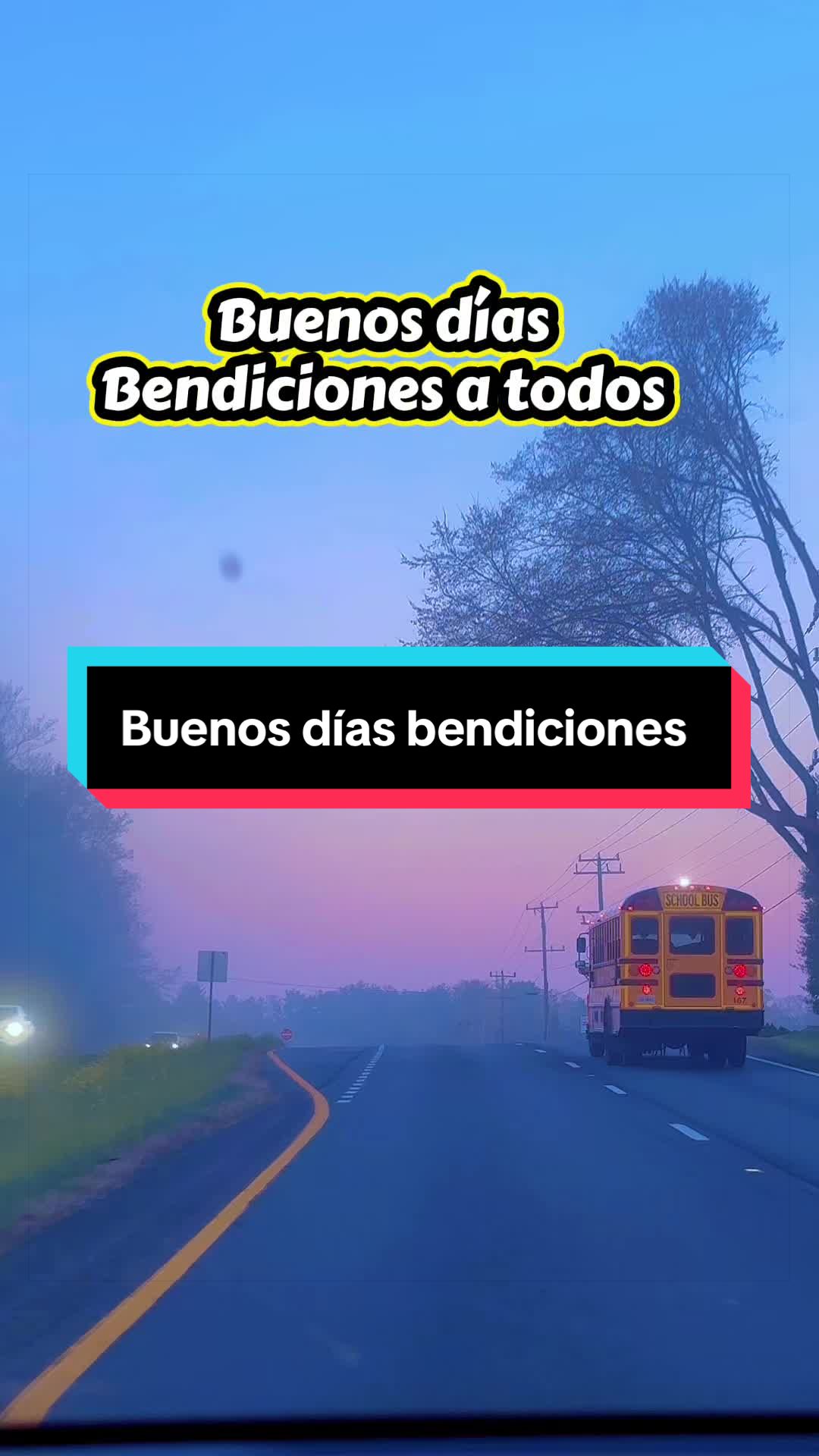 @AP_Castro_503🇸🇻🇮🇱💎