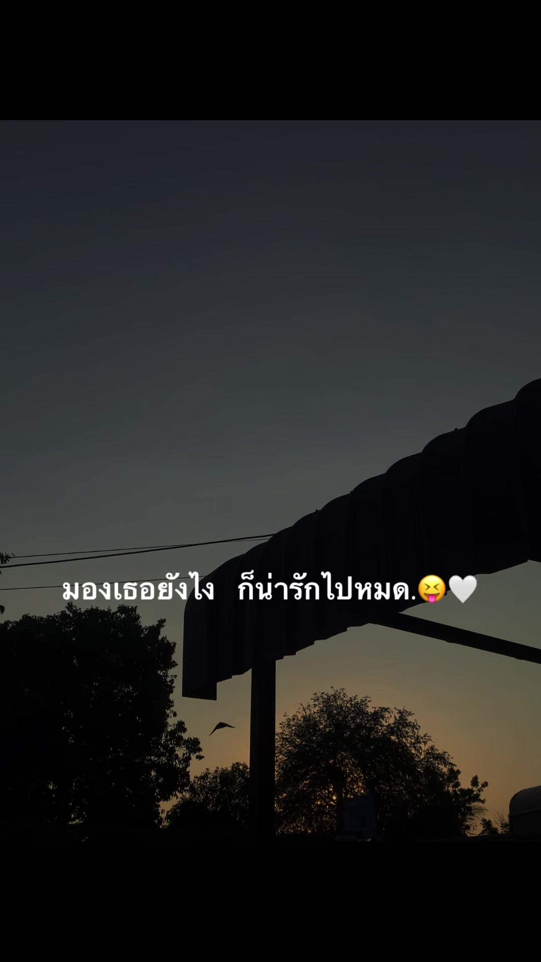 @หมาล่า  (121.9K)