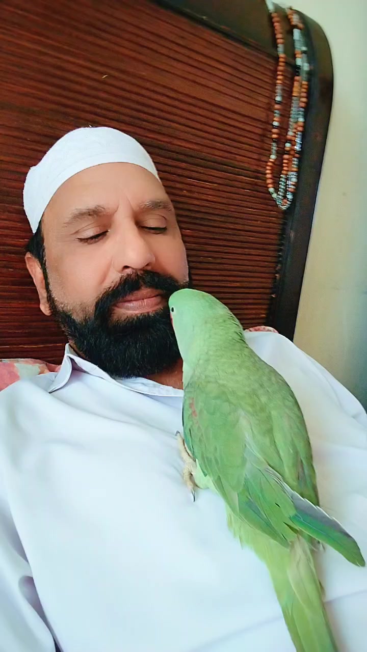 @panjtaniawan512❤️🇵🇰-🇬🇧
