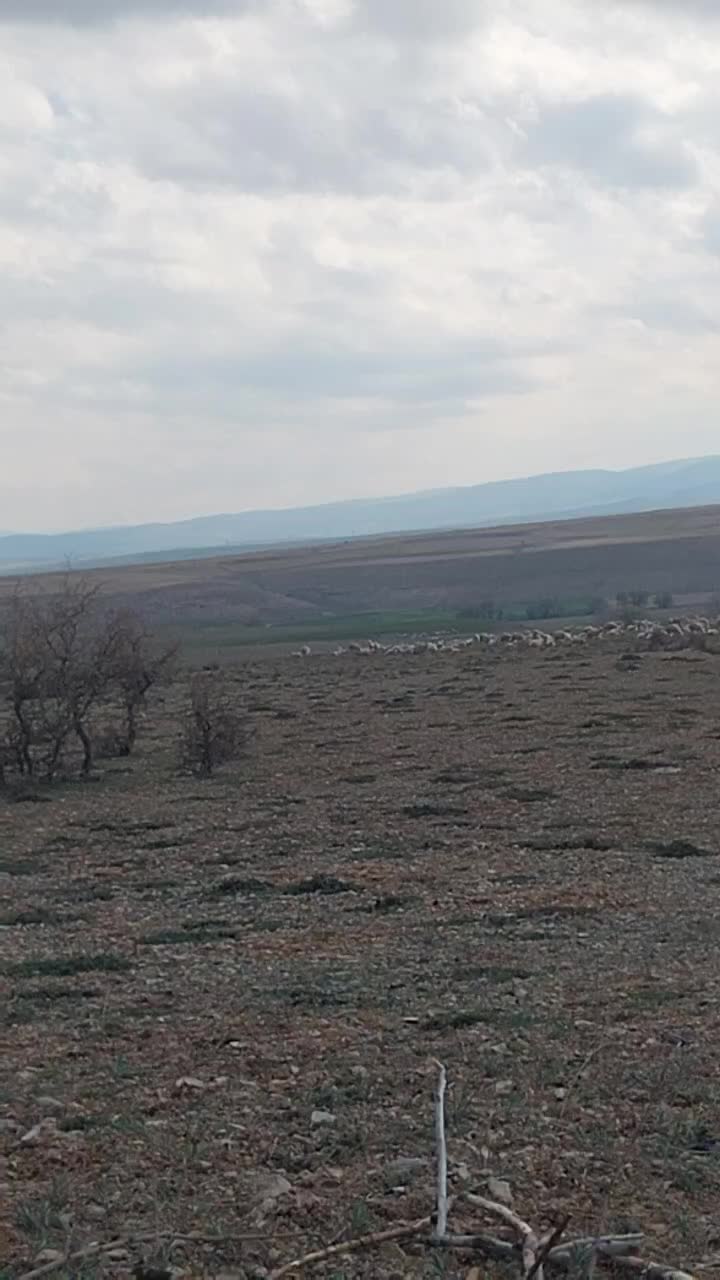 @Ismail &Ccedil;apar42