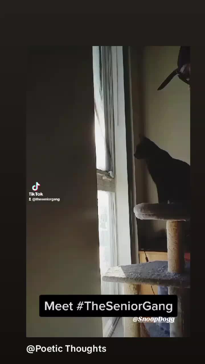 @JusticeIsEverywhere