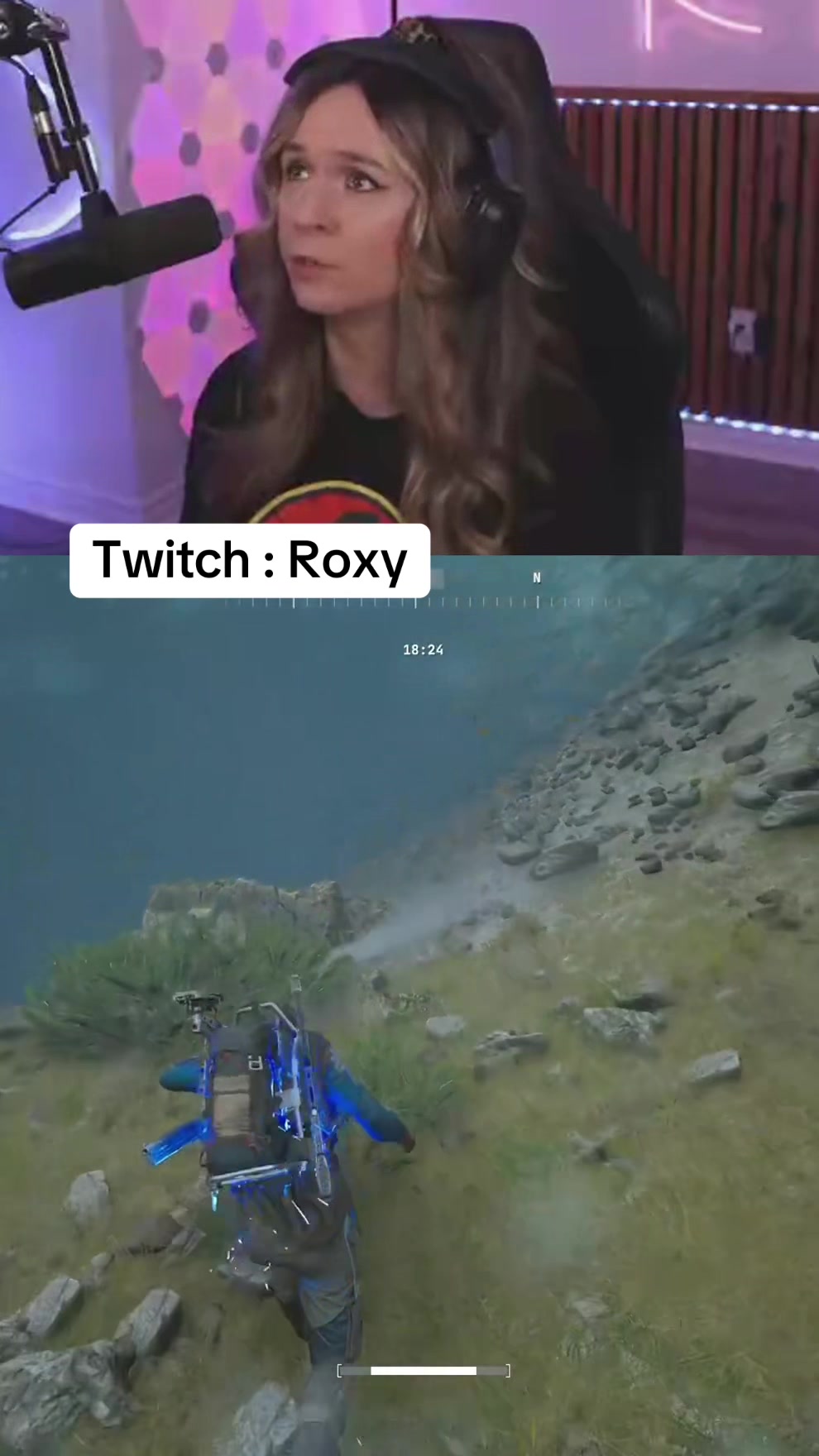 @Roxy🎮