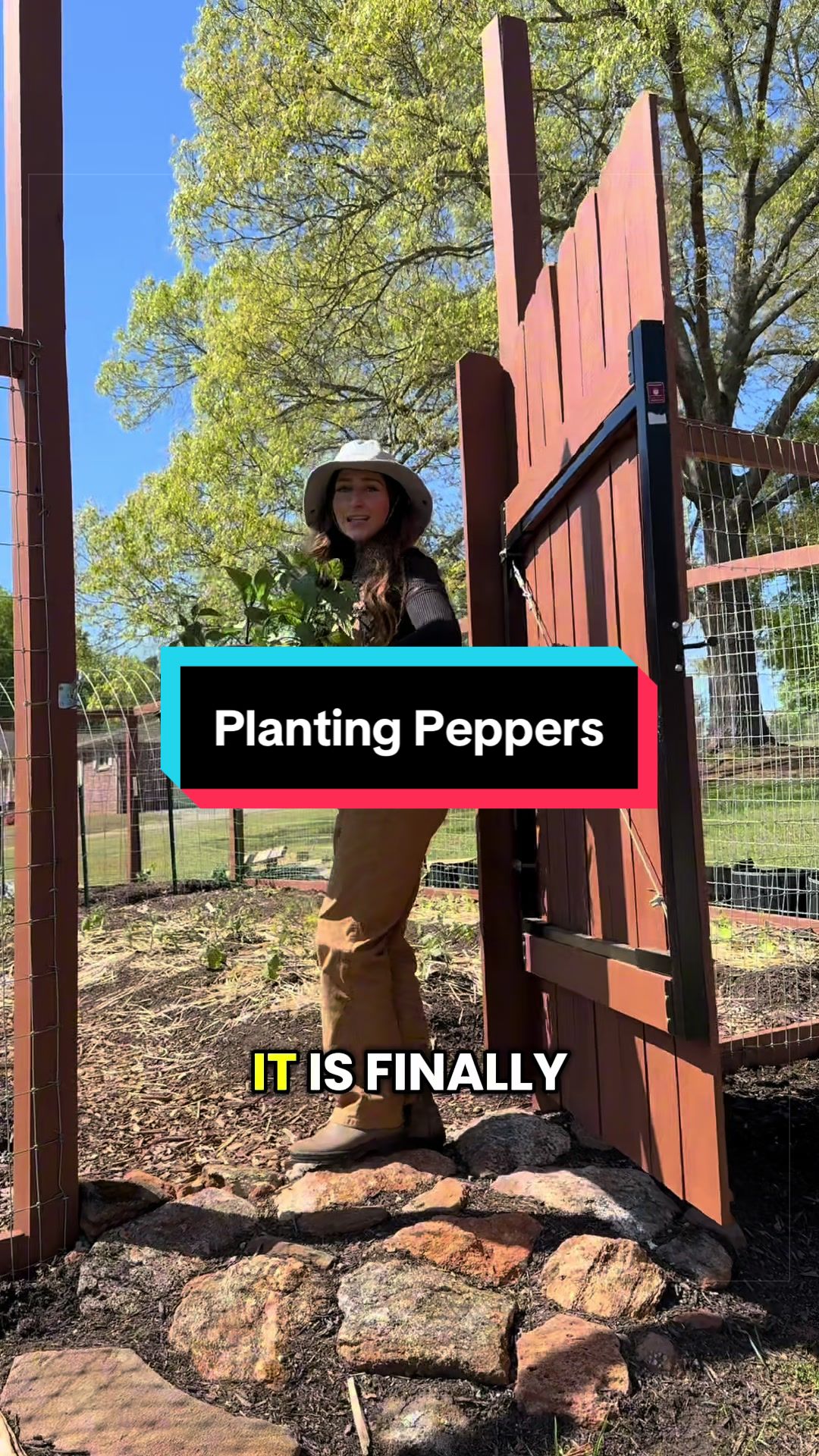 @Kylie | Garden & DIY👩&zwj;🌾