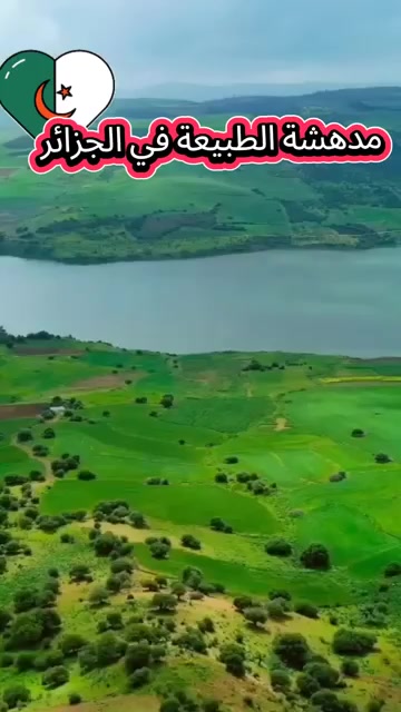 @Hayetam Hayetam