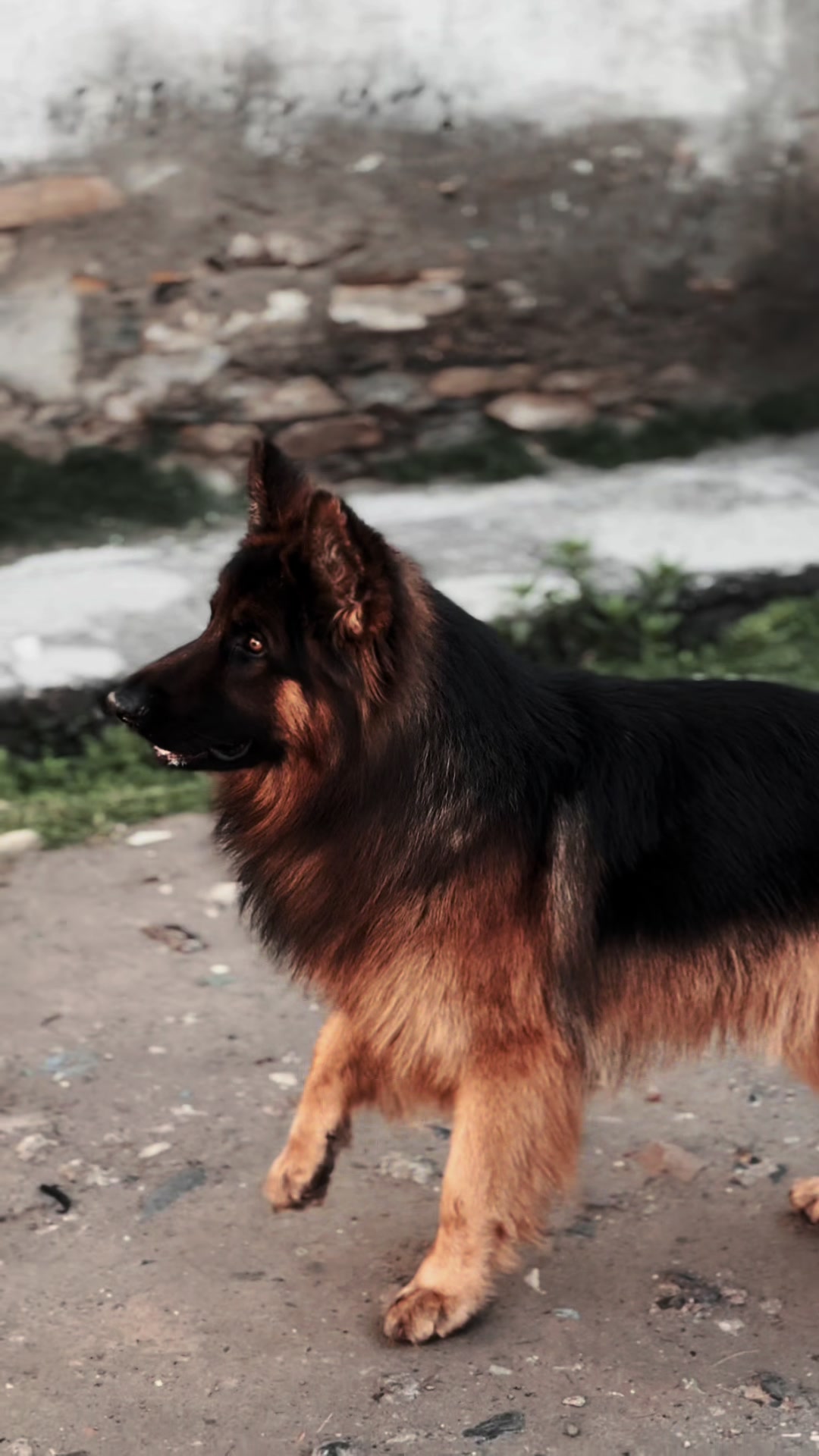 @Dr₹Zeus