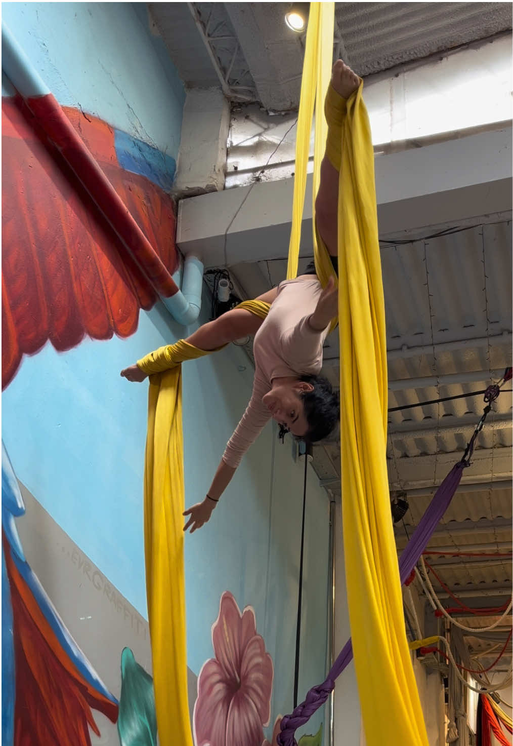 @Steph Del Circo