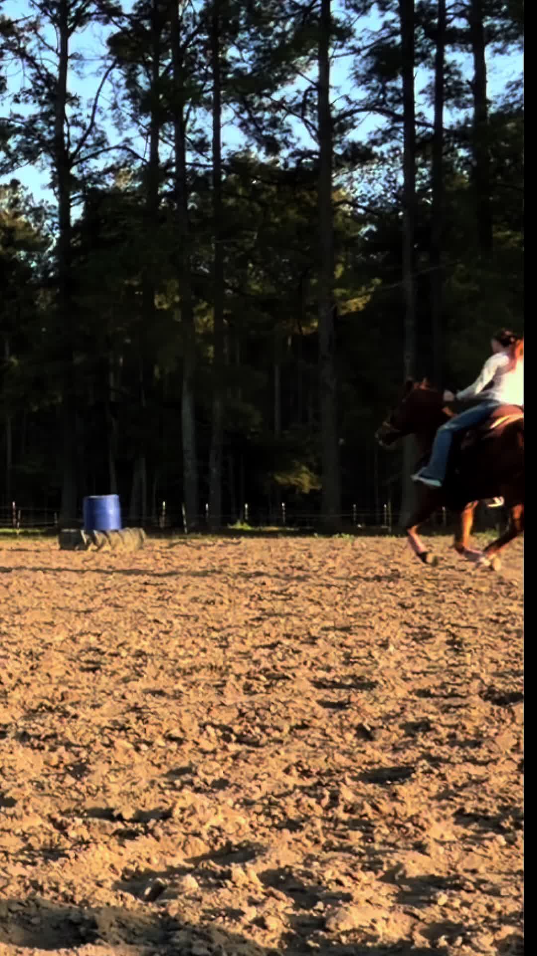 @Brit. L | Barrel Racer